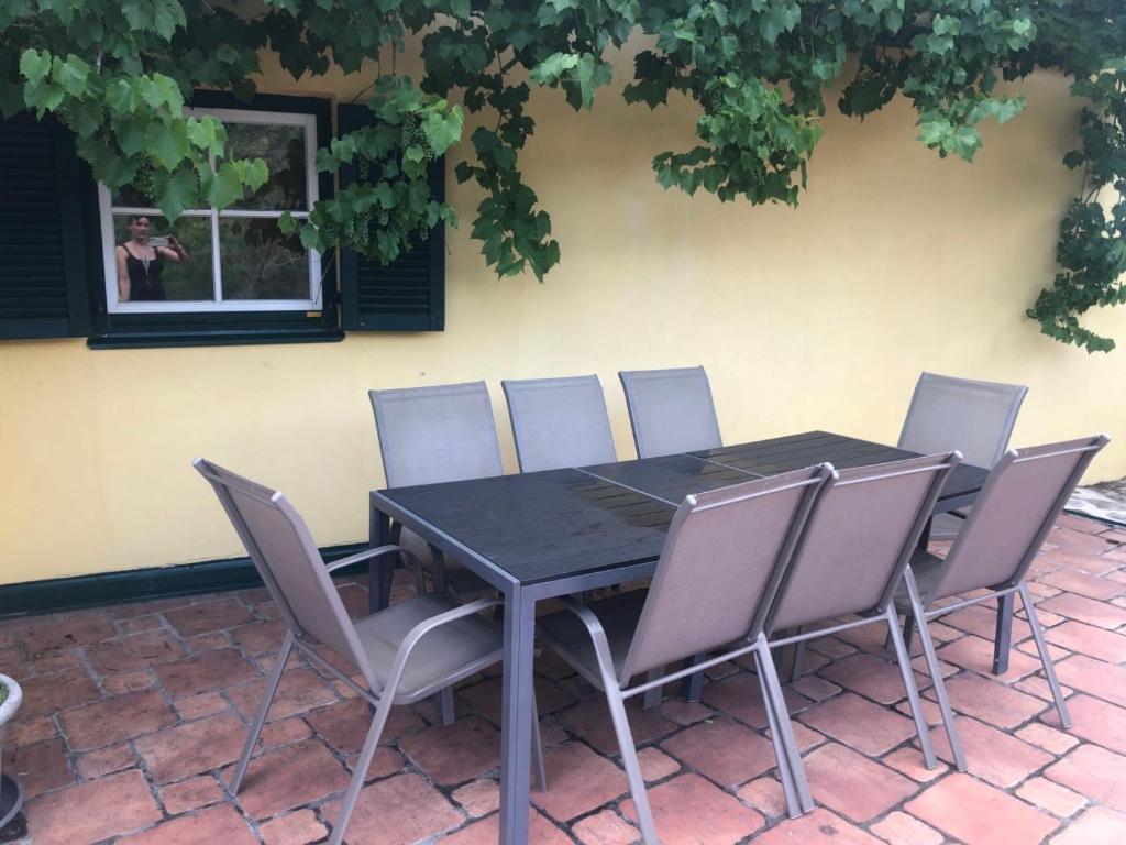 הוילה קרמס אן דר דונאו Winzerhaus Mit Fernblick מראה חיצוני תמונה